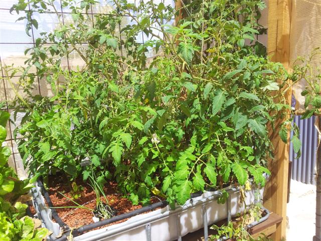 20121216_094707 (Small).jpg