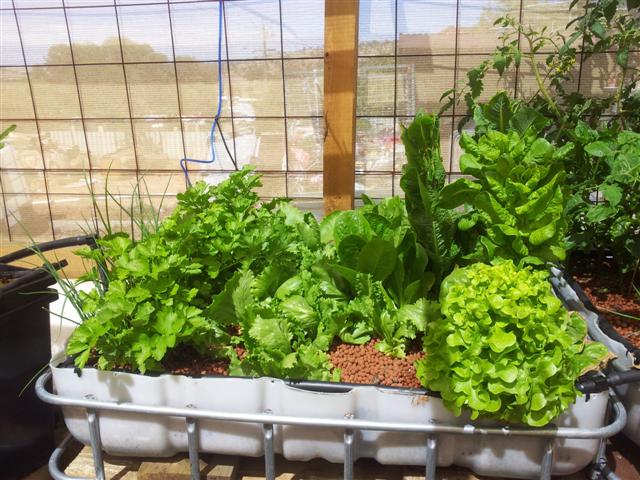 20121216_094713 (Small).jpg