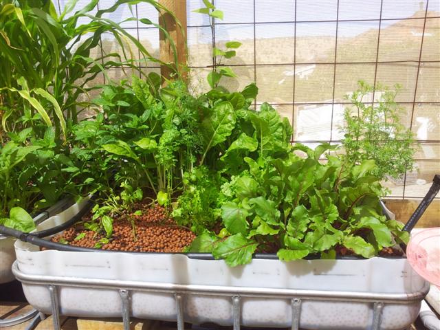 20121216_094724 (Small).jpg