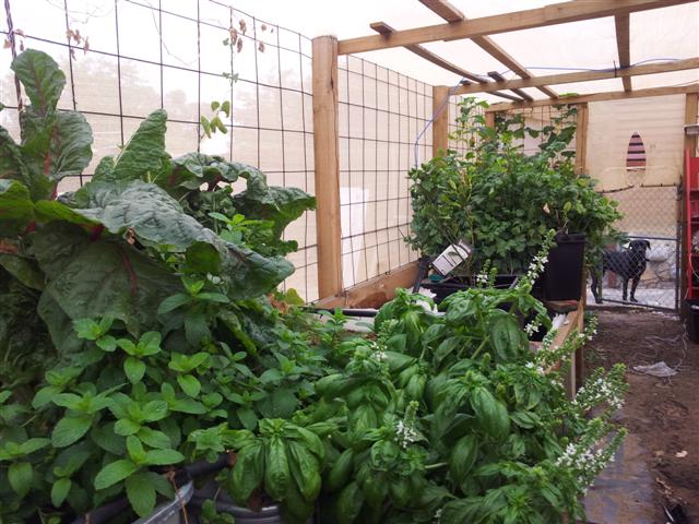 20130316_082417 (Small).jpg