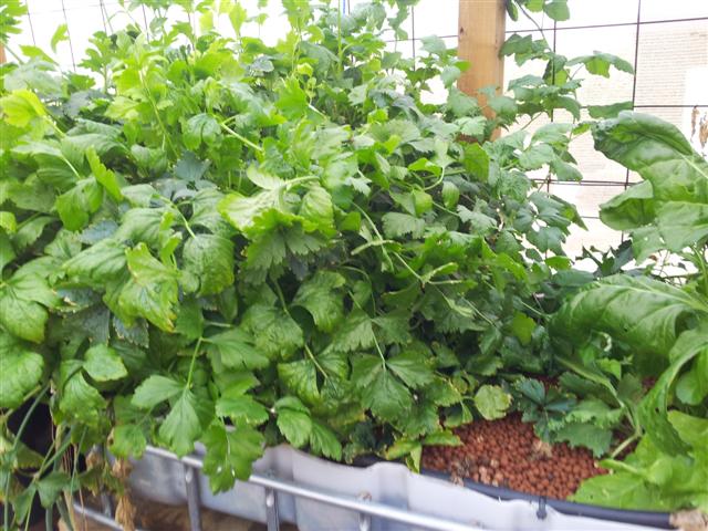 20130316_082451 (Small).jpg