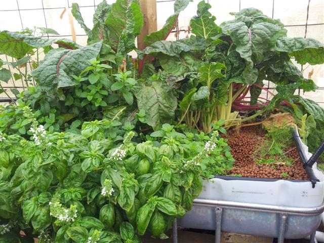 20130316_082503 (Small).jpg