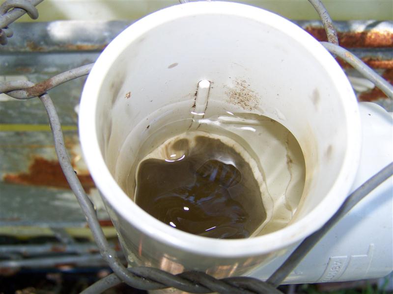 100_6824 (Custom).JPG