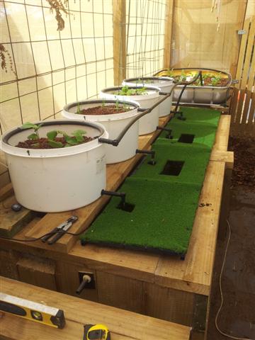 20130507_100439 (Small).jpg