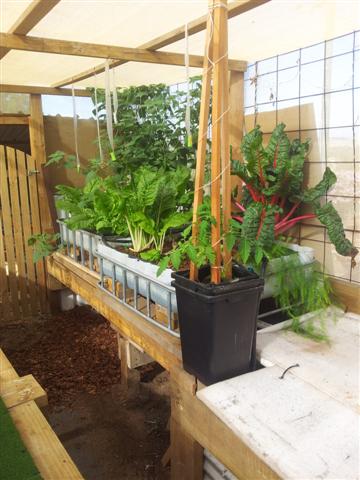 20130507_100527 (Small).jpg