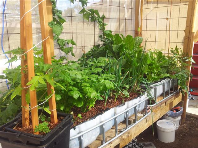 20130507_100544 (Small).jpg