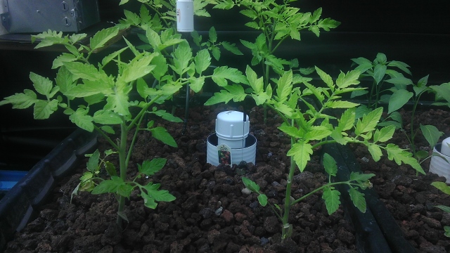 IMAG0148 (640x360).jpg