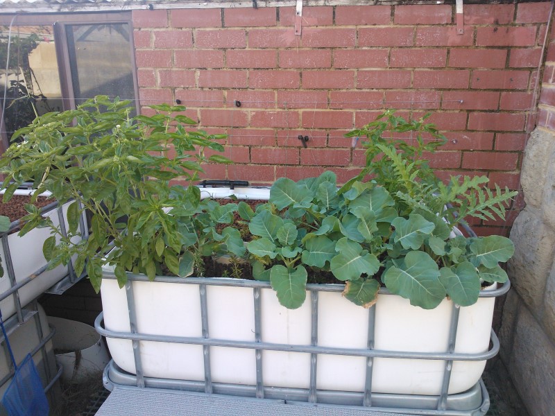 WP_000898 (Custom).jpg