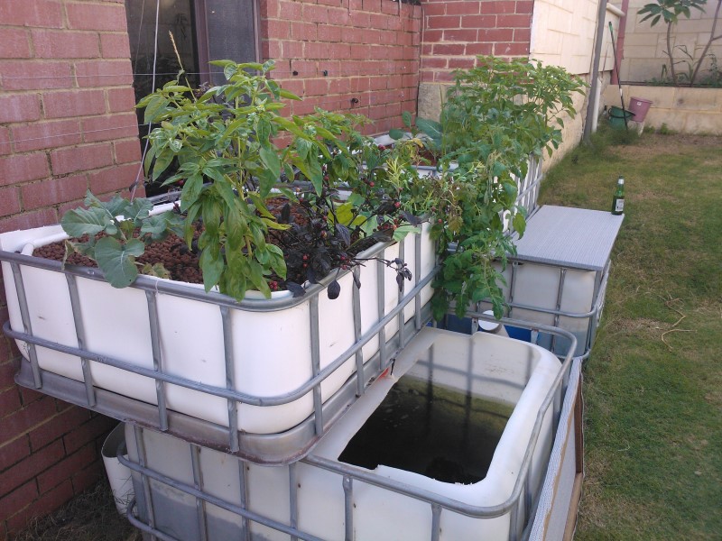 WP_000901 (Custom).jpg