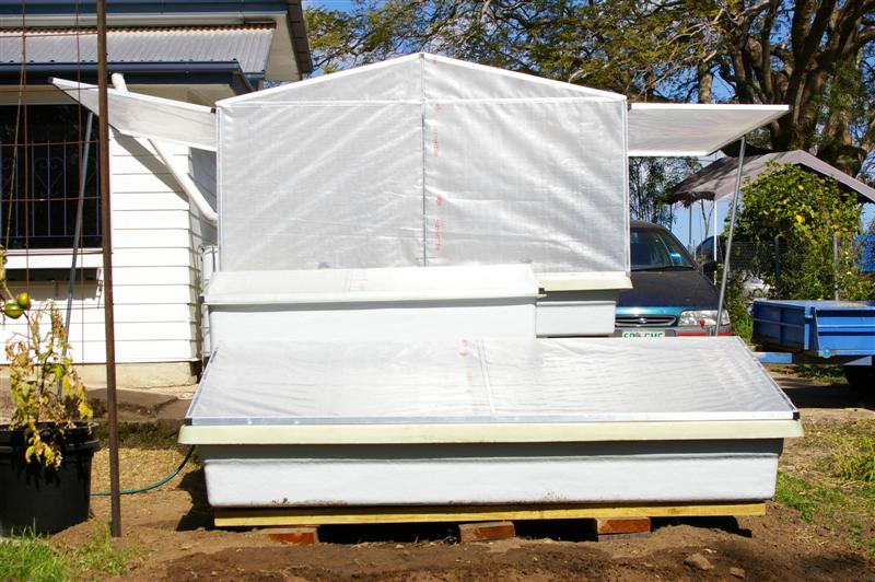 IMGP0425 (Medium).JPG