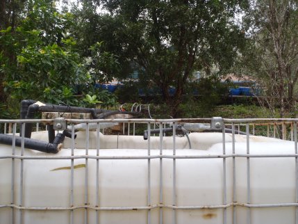 P5120142 resized.jpg