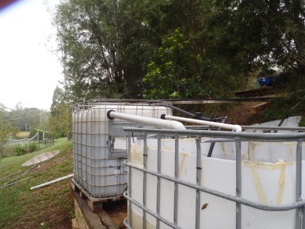 P5120143 resized.jpg