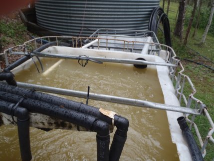 P5120144 resized.jpg