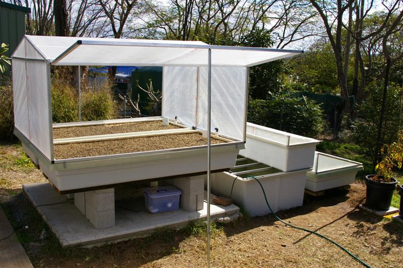 IMGP0429 (Medium).JPG