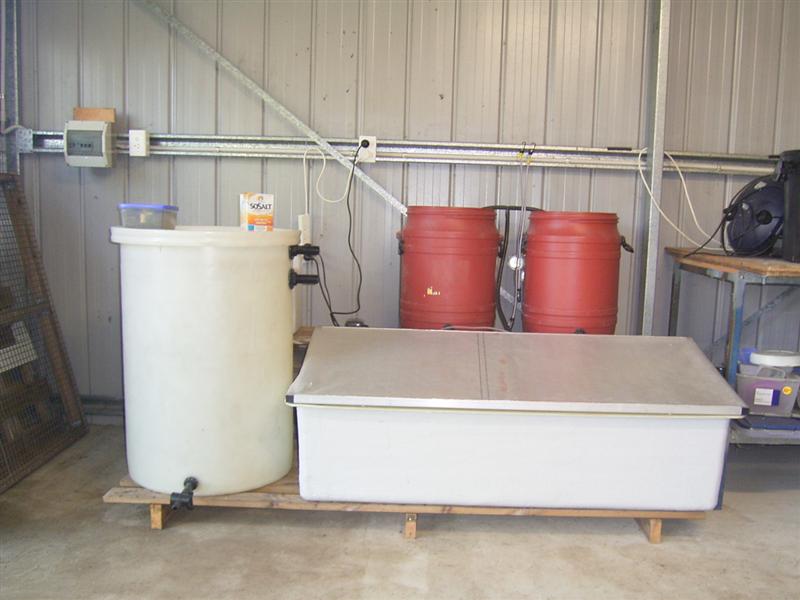 Fingerling System 005 (Medium).jpg