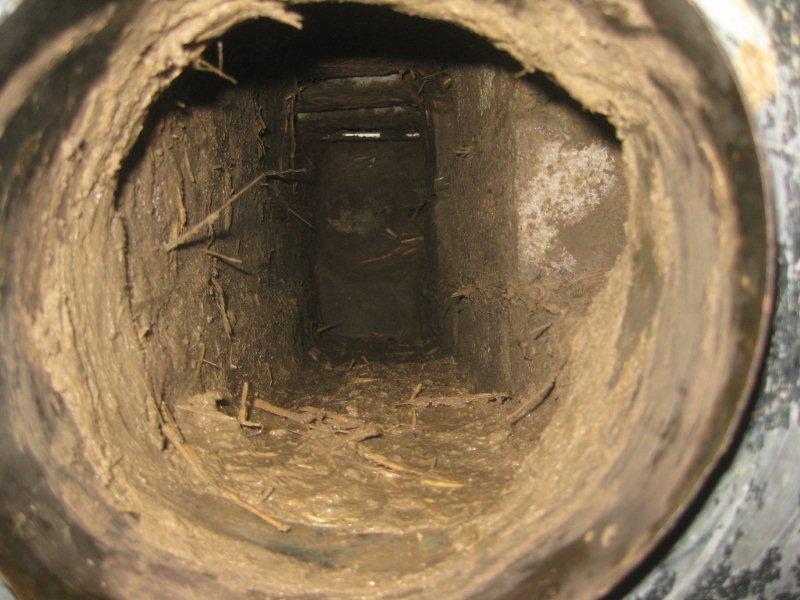 clean out access.JPG