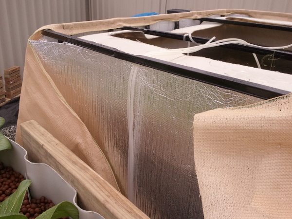 IMG_20130518_094330 (600x450).jpg