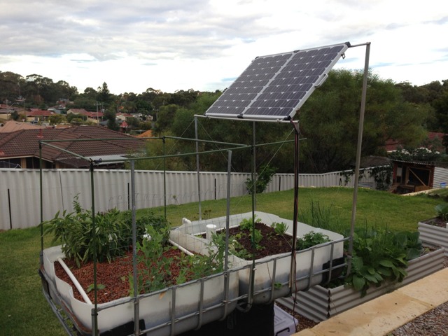 ImageUploadedByTapatalk HD1368868606.134114.jpg