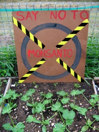 IMG_3928 (479x640) (412x550).jpg