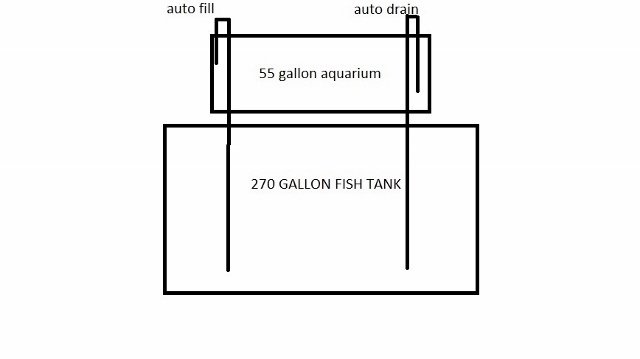 AUTO SIPHON (640x359).jpg