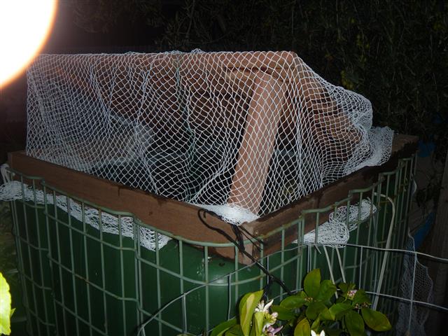 P1010290 (Small).JPG