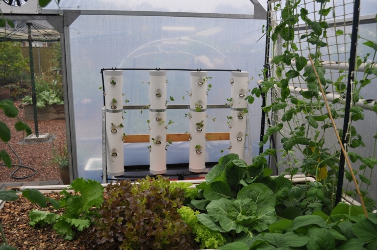 strawberry tower.jpg