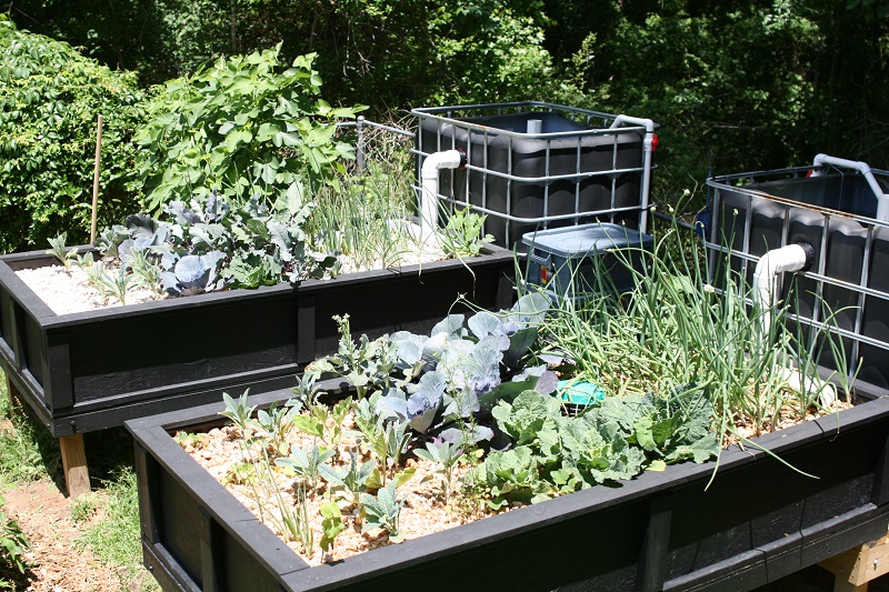 System 23 May Resize.jpg