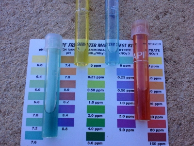 IMG_20130525_090219 (400x300).jpg