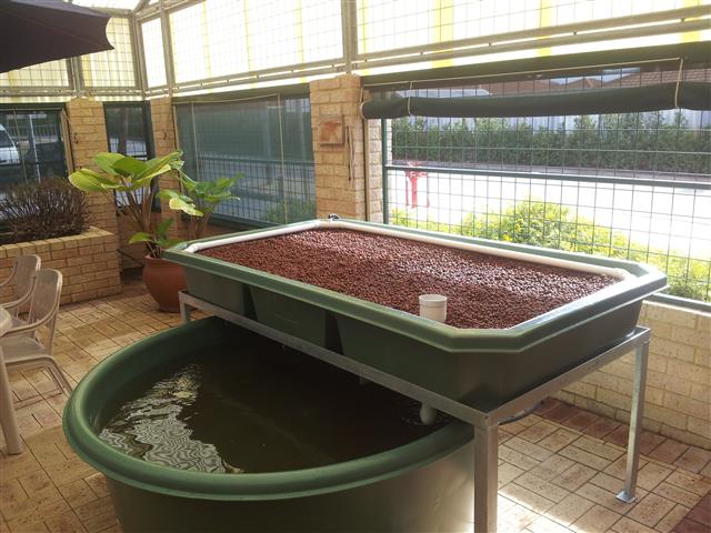 20130530_131807 (Small).jpg