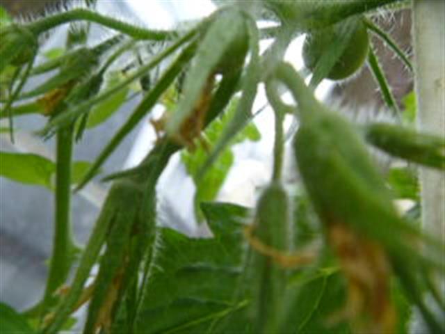 P1010294 (Small).JPG