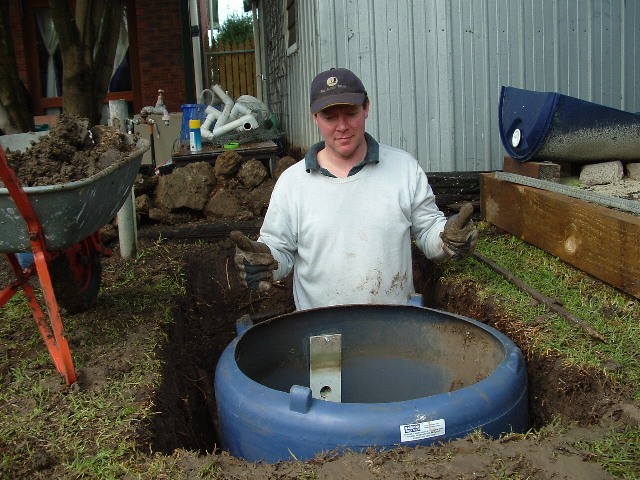 Fish tank, sump, guinea pig 026.jpg
