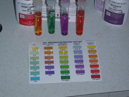 P5290149 resized.jpg