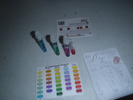 P6020151 resized.jpg