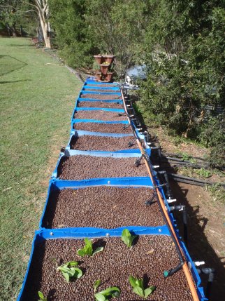 P6020154  resized.jpg