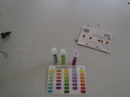 P6020152 resized.jpg