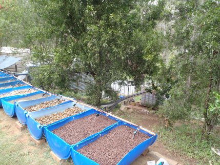 P5120141 resized.jpg