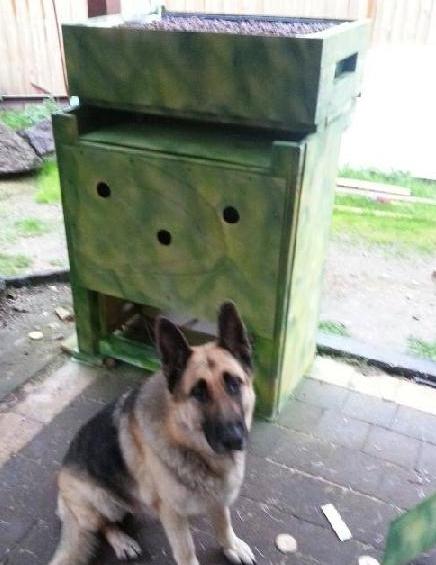 painted setup sm.JPG