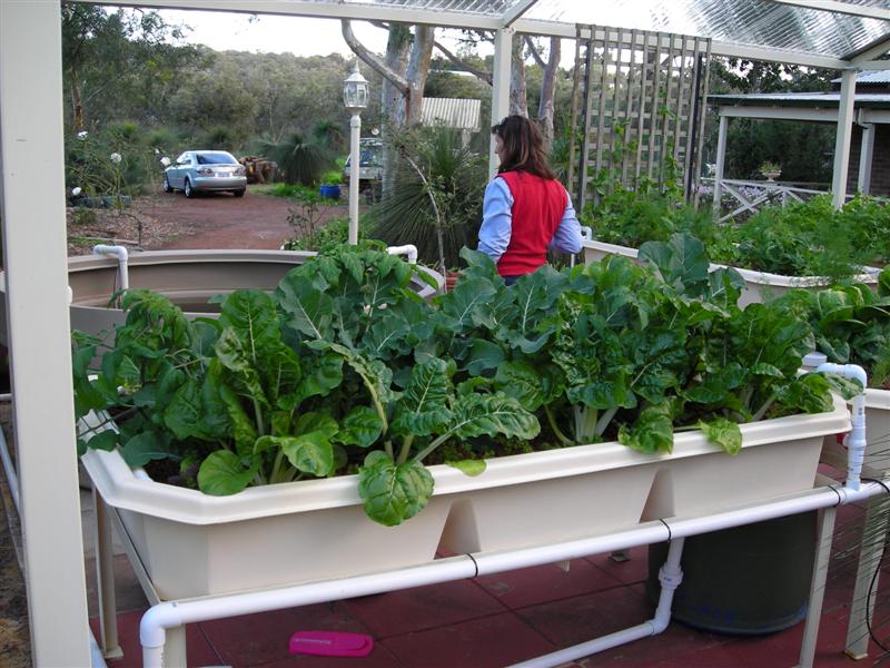 DSCN0092 (Medium).JPG