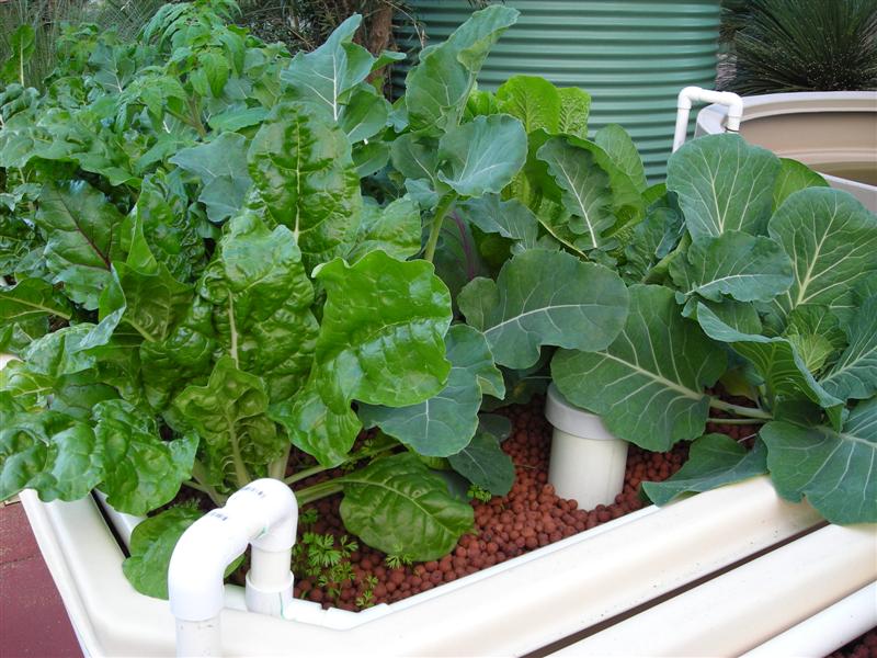 DSCN0088 (Medium).JPG