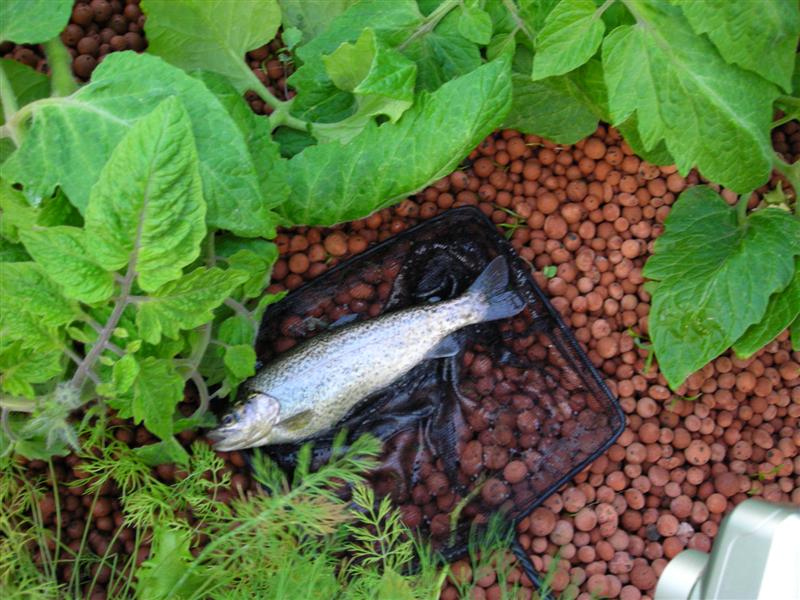 DSCN0097 (Medium).JPG