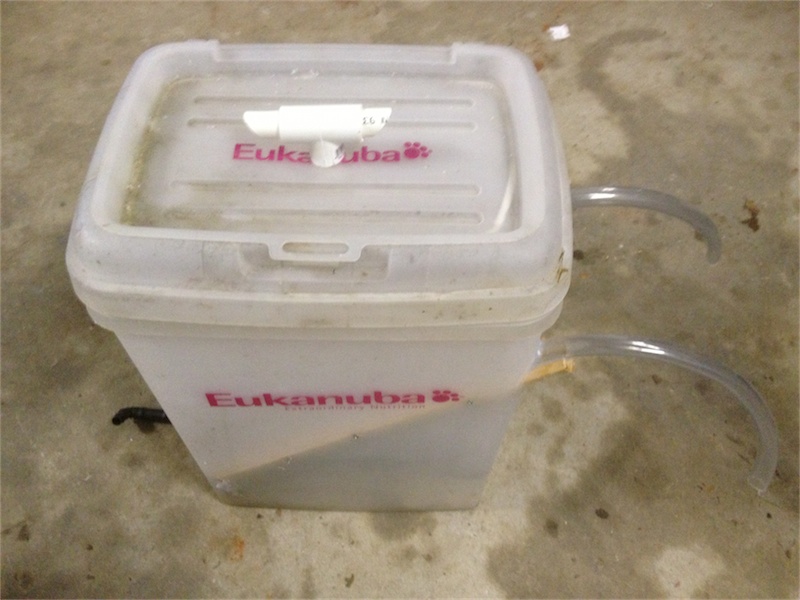 Soldier Fly Breeder.JPG