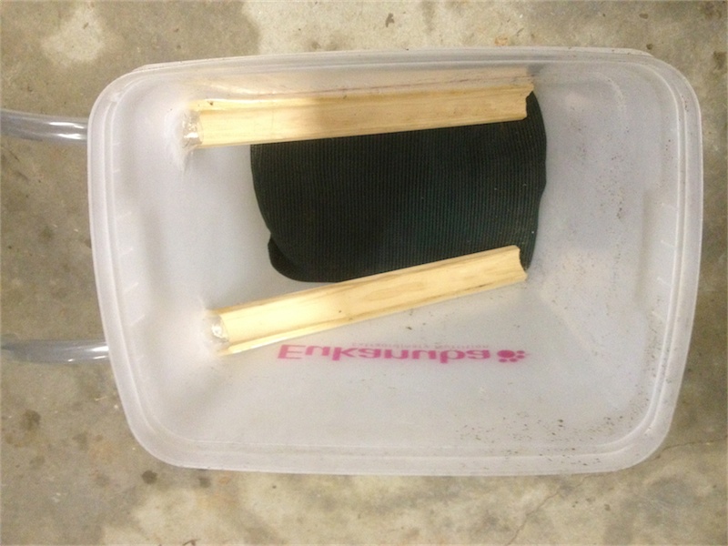 Soldier Fly Breeder1.jpg