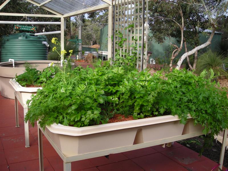 DSCN0076 (Medium).JPG