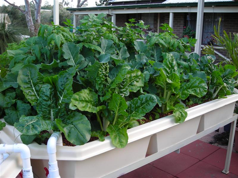 DSCN0085 (Medium).JPG