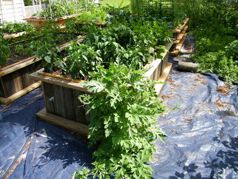 WB 6-10-2013 - 2.jpg