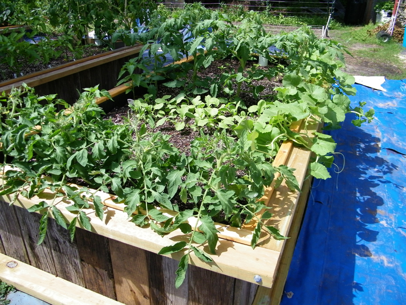 WB 6-10-2013 - 3.jpg