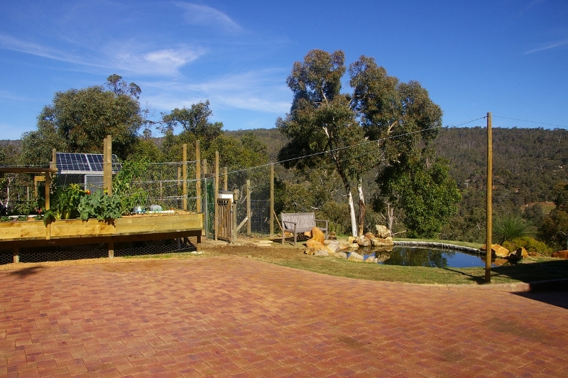 IMGP2924 (1280x851) (800x532).jpg