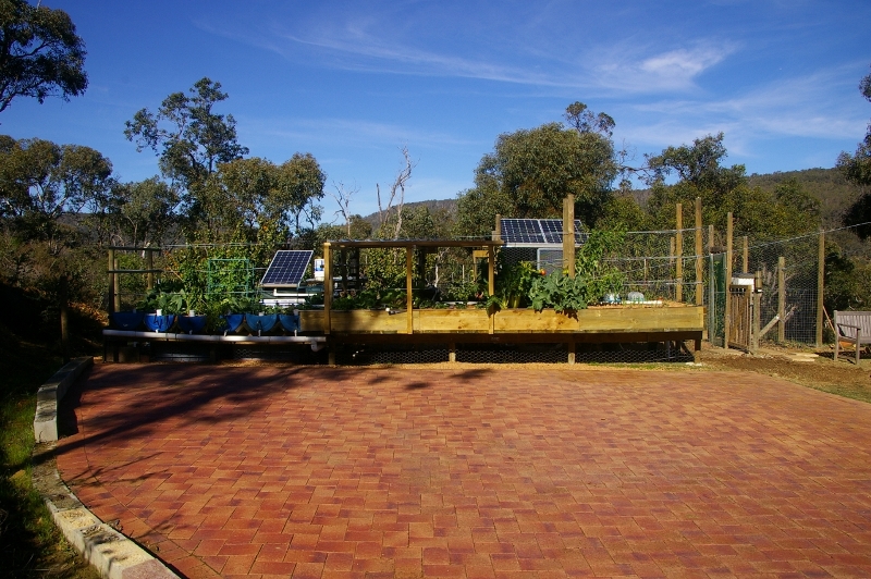 IMGP2921 (1280x851) (800x532).jpg