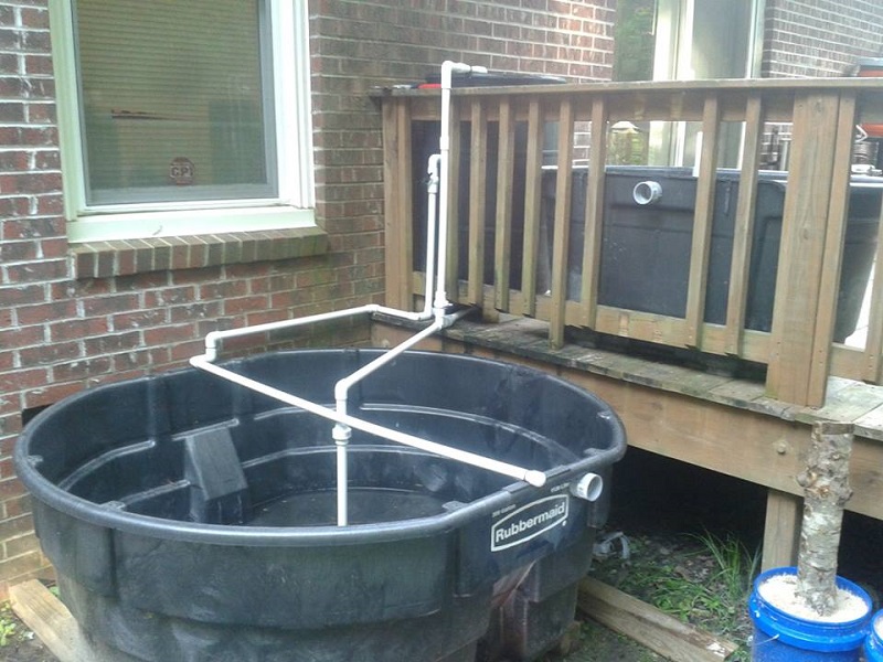 Aquacultre with expansion possibility.jpg