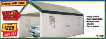 Super Cheap carport.jpg